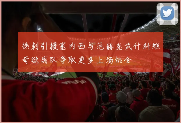 热刺引援塞内西与范赫克武什科维奇欲离队争取更多上场机会