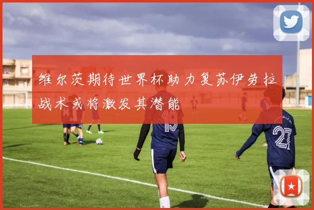 维尔茨期待世界杯助力复苏伊劳拉战术或将激发其潜能