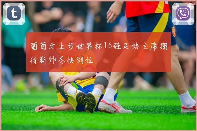 葡萄牙止步世界杯16强足协主席期待新帅尽快到位