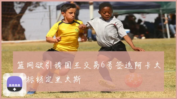 篮网欲引诱国王交易6号签选阿卡夫目标锁定里夫斯